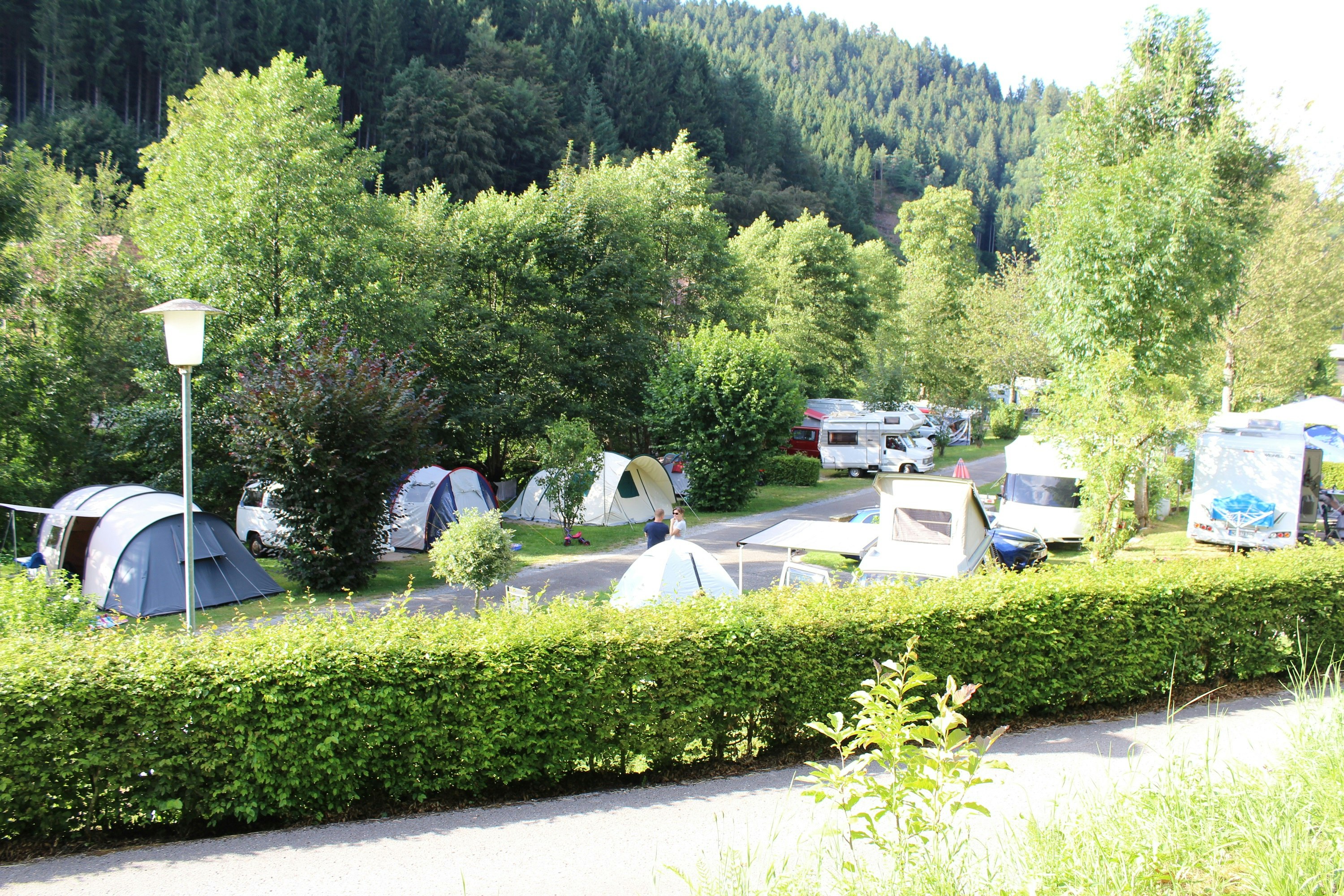 Schwarzwaldcamping Alisehof