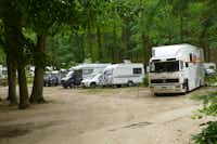 Schwielowsee-Camping - Wohnwagen- und Zeltstellplatz zwischen Bäumen