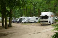 Schwielowsee-Camping - Wohnwagen- und Zeltstellplatz zwischen Bäumen