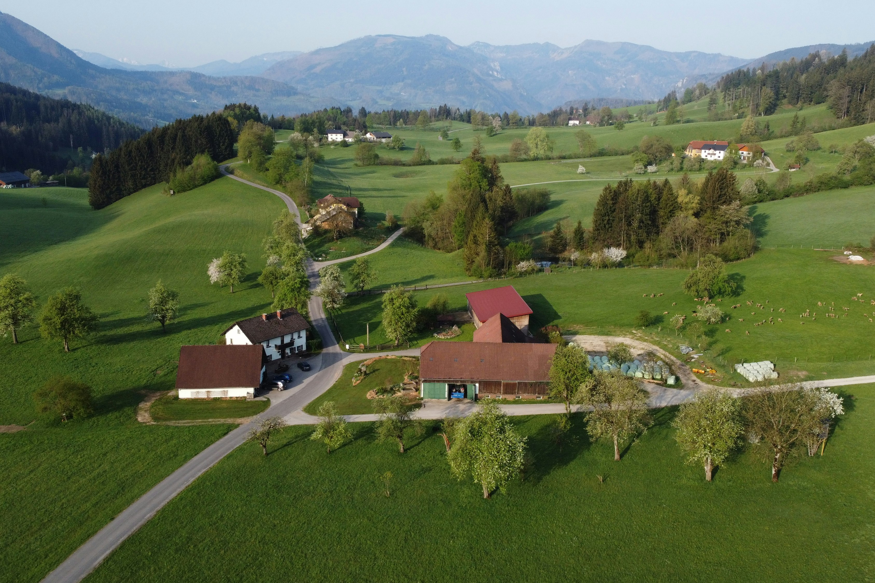 Sebaldus Camping  - Luftaufnahme des Campingplatzes umgeben von Bäumen