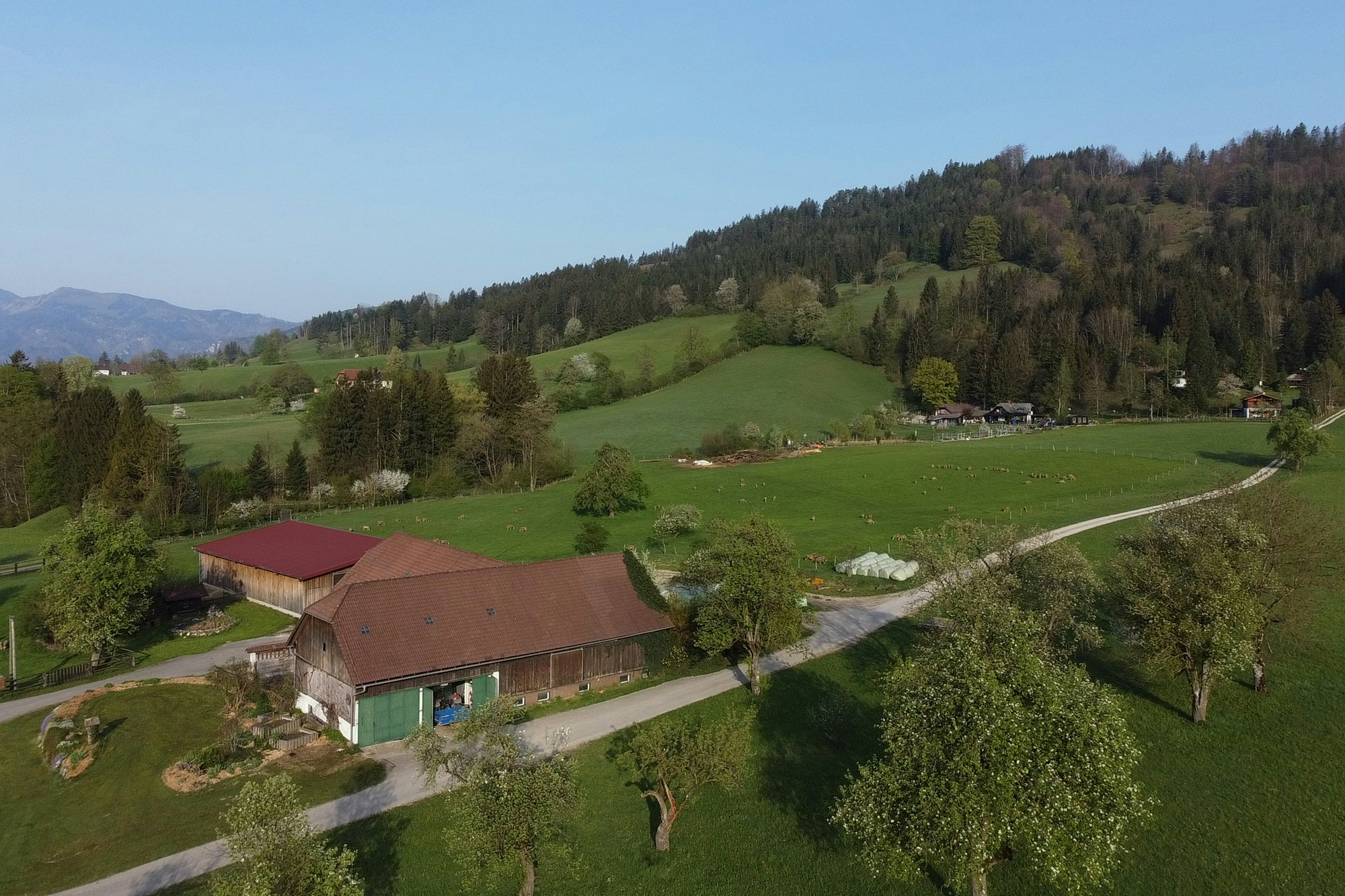 Sebaldus Camping - Blick auf den Campingplatz mit Wald im Hintergrund