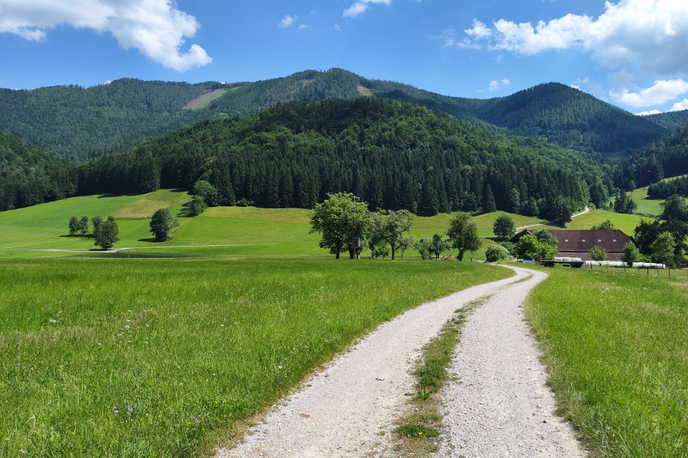 Sebaldus Camping - Feldweg in der Umgebung des Campingplatzes