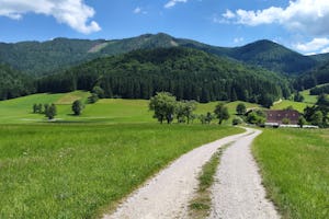 Sebaldus Camping - Feldweg in der Umgebung des Campingplatzes