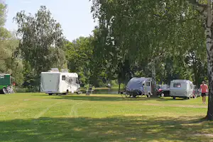 Seecamp Derneburg - Standplatzwiese auf dem Campingplatz