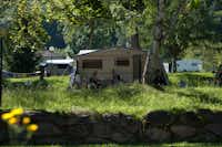 Seecamping Berghof - Wohnwagenstellplatz zwischen den Bäumen auf dem Campingplatz