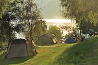 Seecamping Berghof - Zeltplätze auf grüner Wiese mit Blick auf See