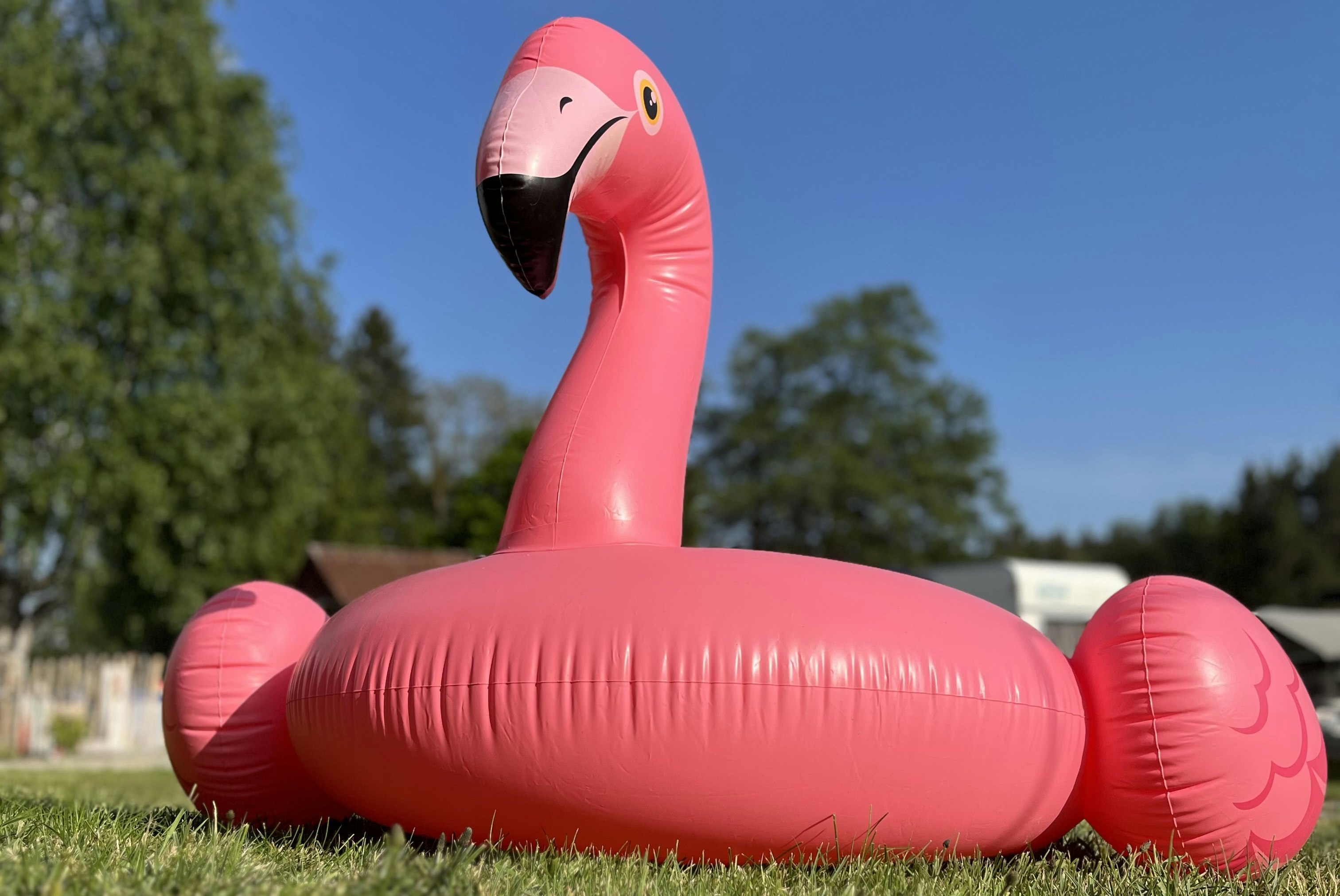 Hammersee Camping Bodenwöhr - Aufblasbares Badespielzeug auf dem Campingplatz