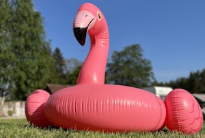 Hammersee Camping Bodenwöhr - Aufblasbares Badespielzeug auf dem Campingplatz