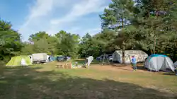 Seecamping Freudenberg