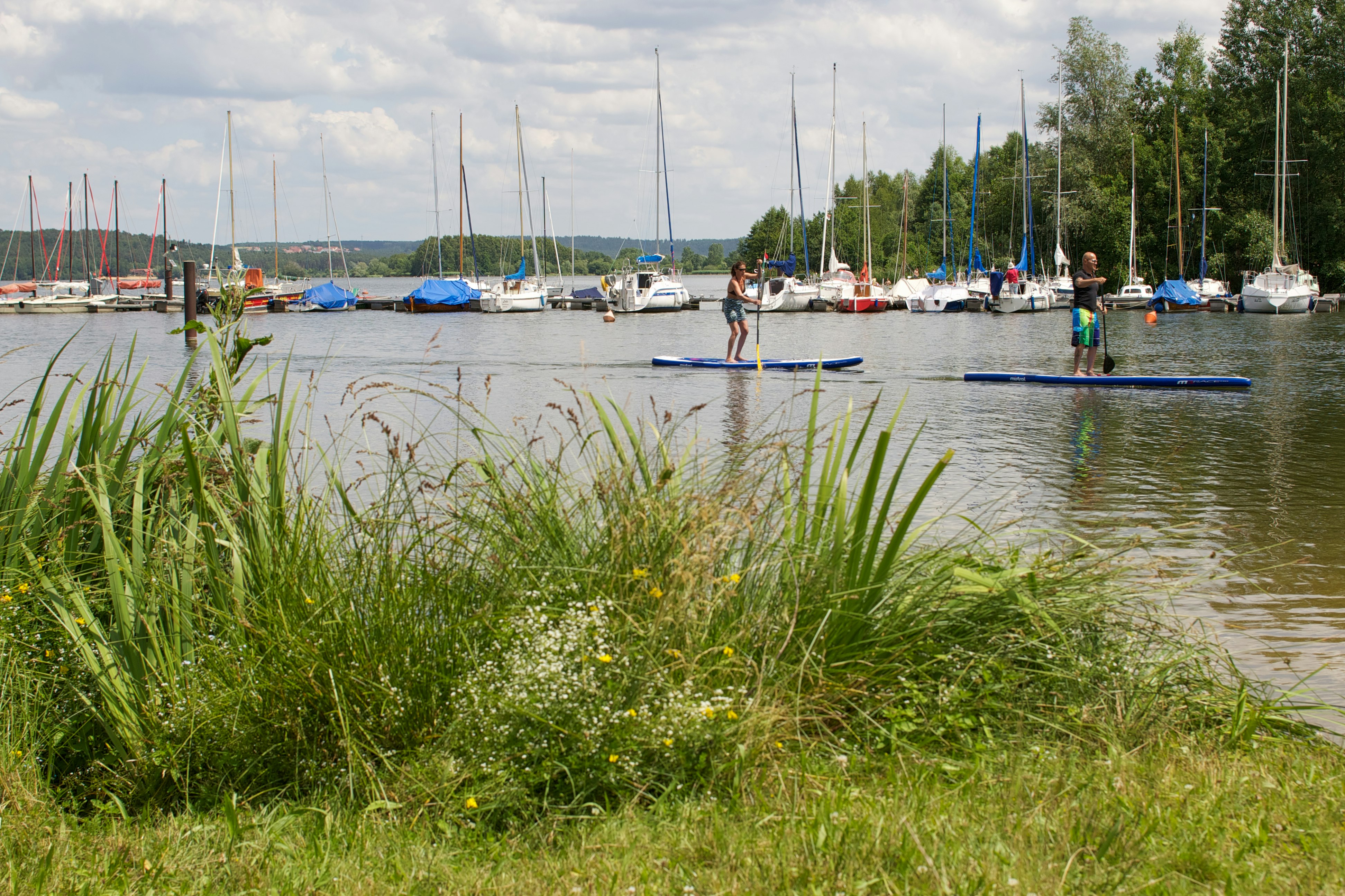 Seecamping Langlau - Stand Up Paddler auf dem See am Campingplatz