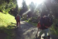 Seecamping Mössler  - Wandern in der Nähe vom Campingplatz