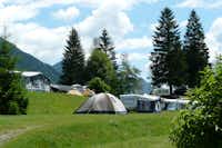 Seecamping Müller  -  Wohnwagen- und Zeltstellplatz im Grünen auf dem Campingplatz