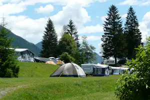 Campingzelt auf grünem Rasen, daneben Wohnwagen und weitere Zelte, umgeben von hohen Nadelbäumen und Bergen im Hintergrund.
