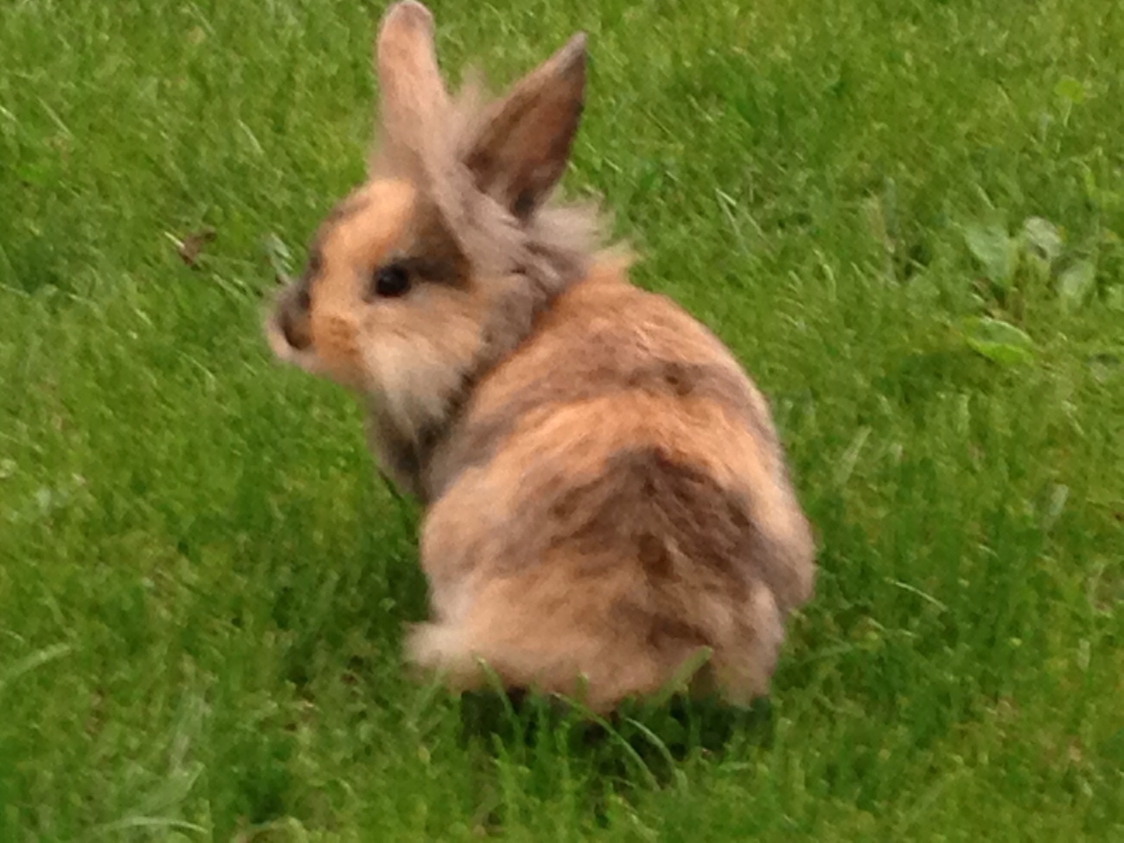 See Camping Eben im Pongau