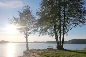 Seecamping Weisser Brunnen - Bank auf grüner Wiese am See vom Campingplatz