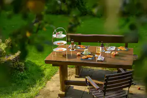 Holztisch mit Essen und Getränken auf einer Campingwiese, umgeben von Bäumen und grünem Gras.