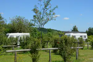 Wohnmobile auf einem Campingplatz im Grünen, umgeben von Büschen und Bäumen, mit Zaun und Wiese im Vordergrund.