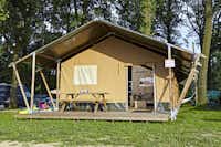 Seepark Ternsche  -  Mobilheim vom Campingplatz mit Veranda im Grünen
