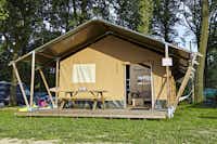 Seepark Ternsche  -  Mobilheim vom Campingplatz mit Veranda im Grünen