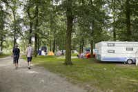 Seepark Ternsche - Stellplätze und Zeltwiese im Schatten unter Bäumen auf dem Campingplatz