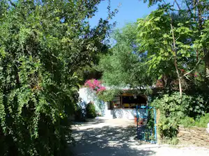 Campingweg zwischen grünen Bäumen und Sträuchern, mit Infotafel und Steinmauer am Rand.