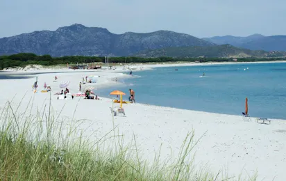 Selema Camping