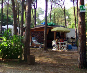 Selema Camping