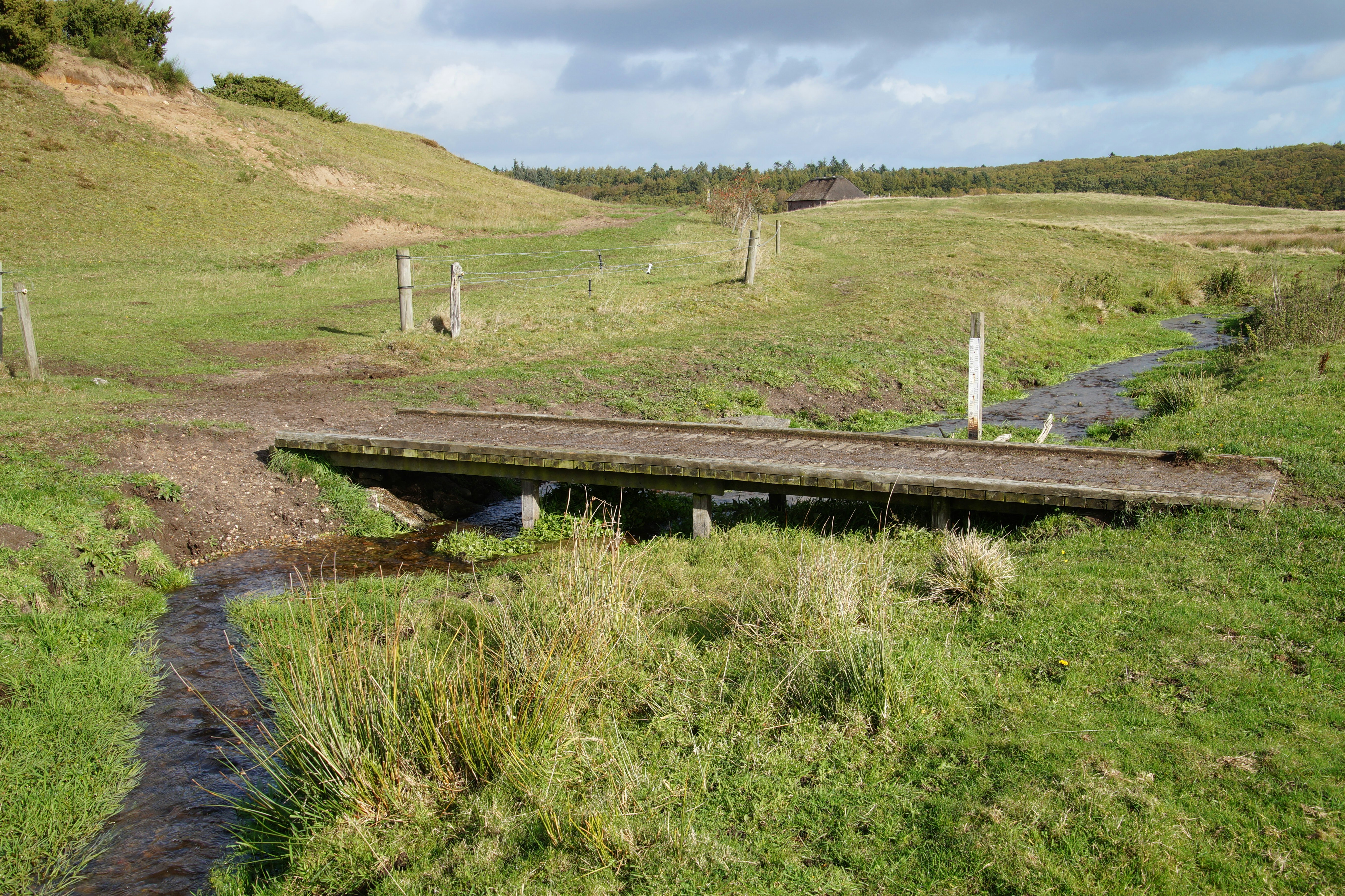 Sevel Camping  - Kleiner Bach in der Umgebung des Campingplatzes