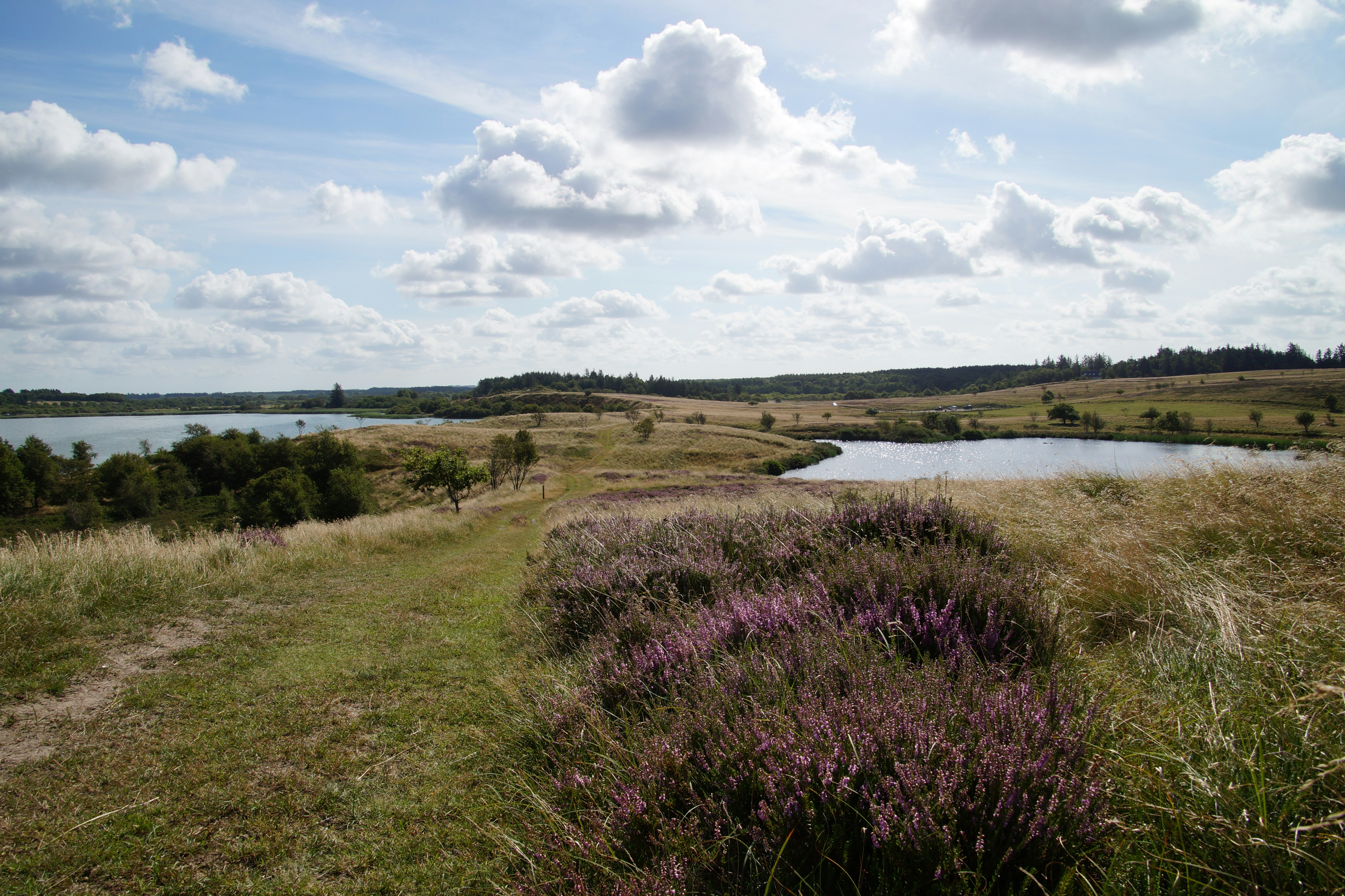 Sevel Camping - Blick in die Natur in der Umgebung des Campingplatzes
