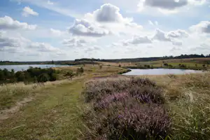 Sevel Camping - Blick in die Natur in der Umgebung des Campingplatzes