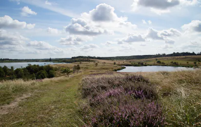 Hedelandets Camping