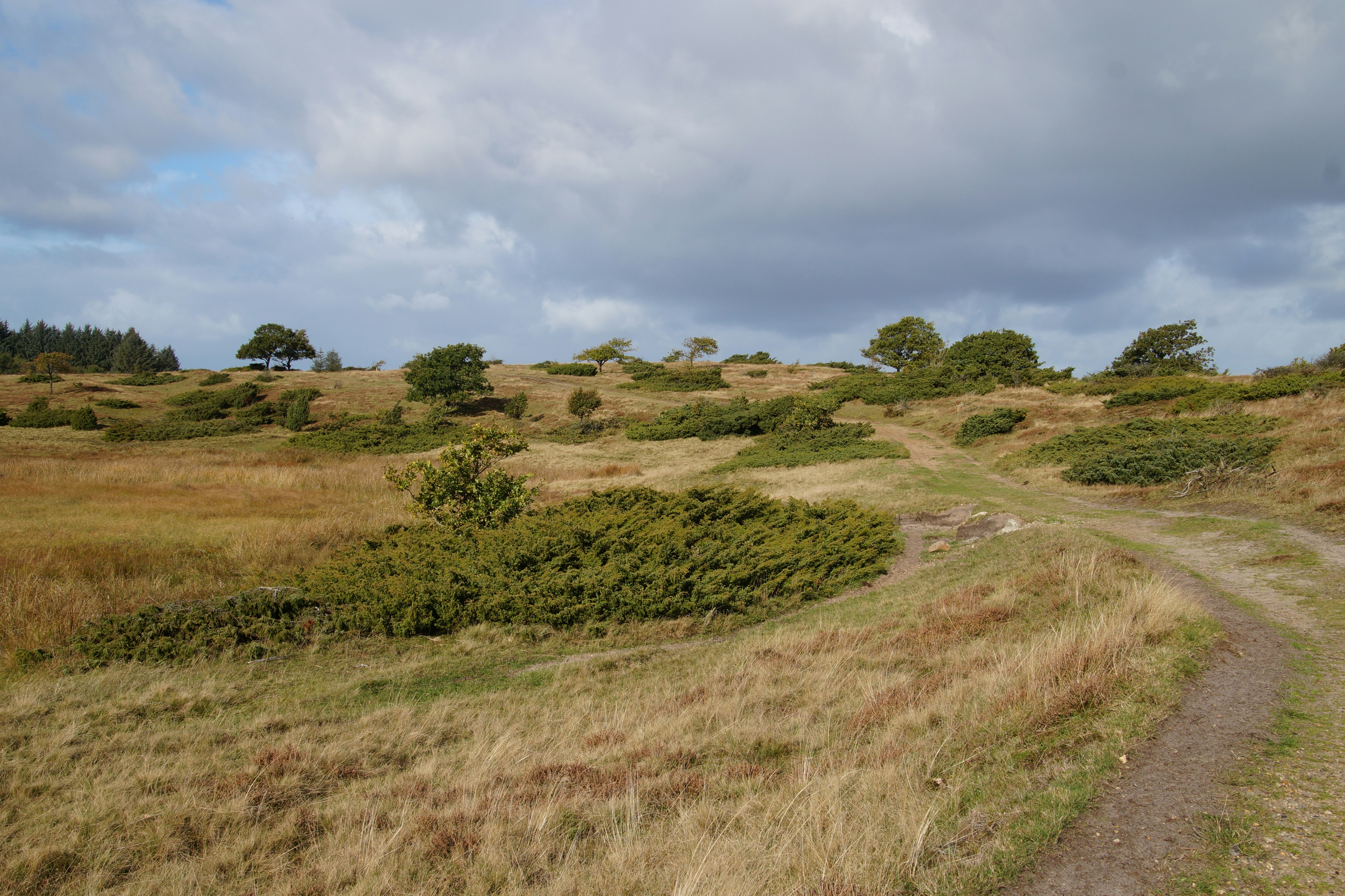 Sevel Camping - Blick in die Umgebung des Campingplatzes