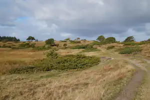 Sevel Camping - Blick in die Umgebung des Campingplatzes