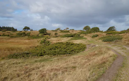 Hedelandets Camping