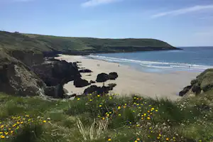 Blick auf einen Sandstrand mit Wellen, Felsen und Küstenhügeln, im Vordergrund gelbe Blumen auf der Wiese.