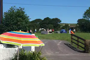 Buntes Zelt auf dem Rasen, daneben weitere Zelte und Personen auf dem Campingplatz zwischen Bäumen und Hecken.