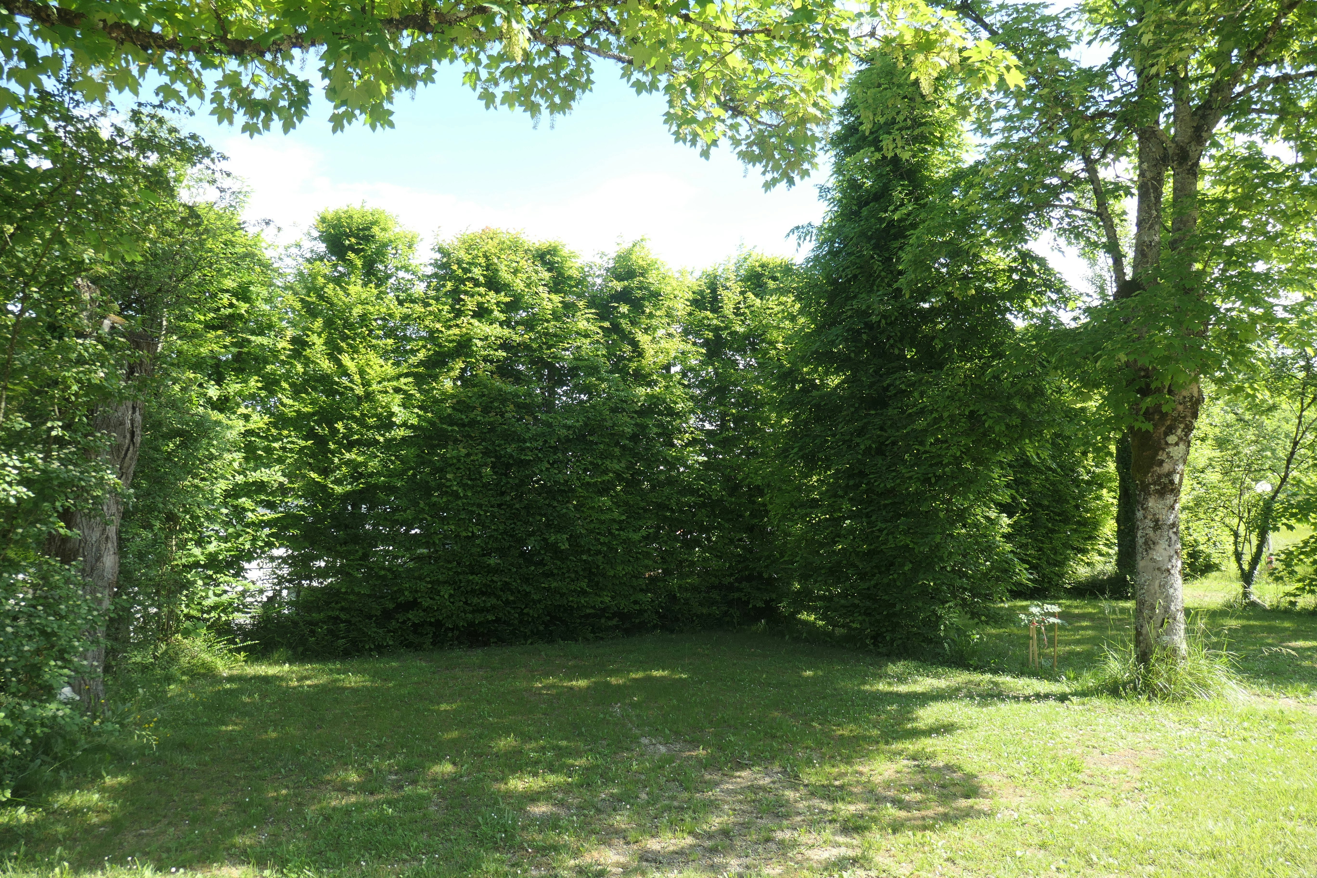 Camping de la Biche - Standplätze im Grünen auf dem Campingplatz
