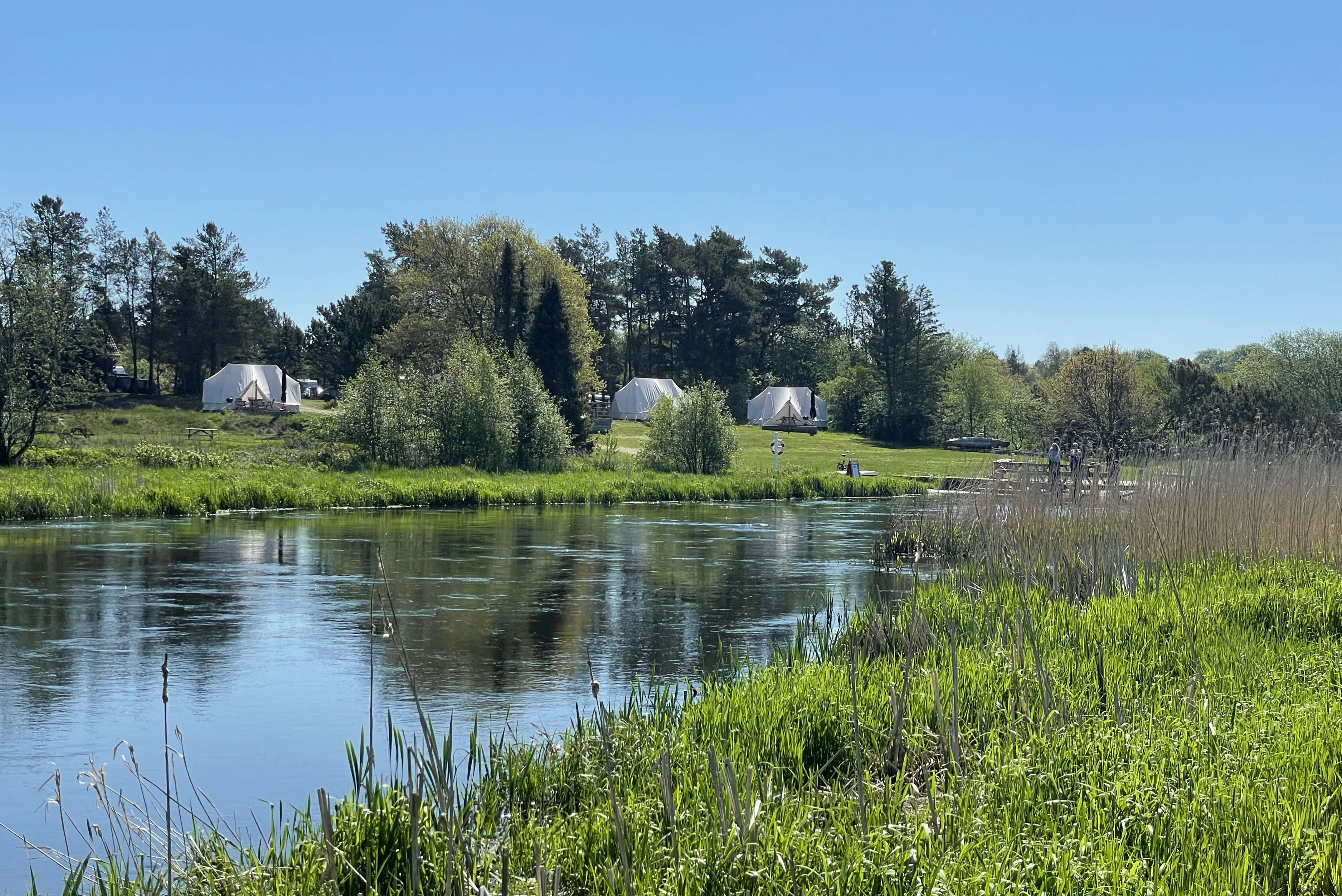 Campingplatz am See mit grünem Ufer, Schilf und Bäumen; im Hintergrund Zelte und kleine Gebäude am Wasser.
