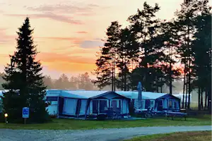 Reihe von Campingzelten auf einem Rasenplatz am Waldrand, im Hintergrund Bäume und ein Abendhimmel.