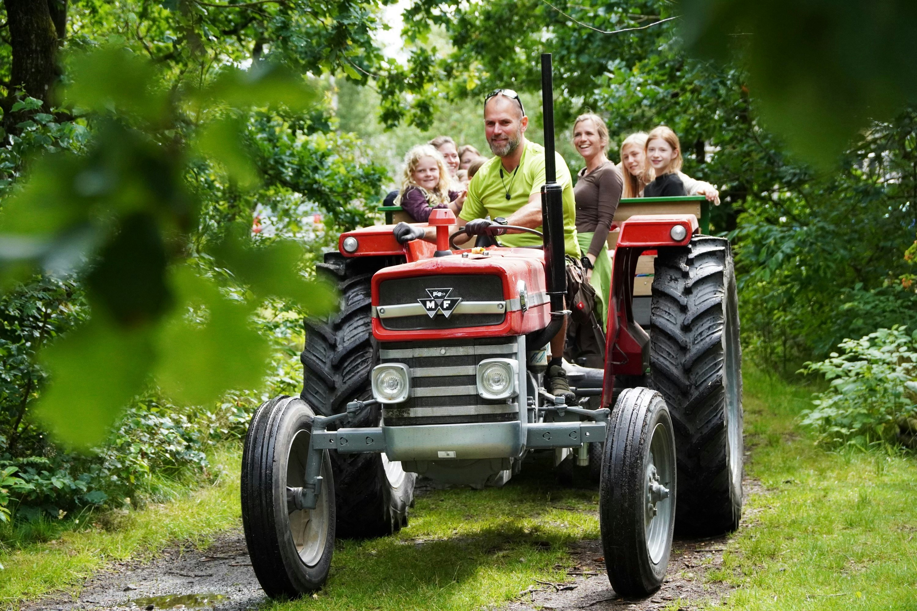 Traktor mit Familie im offenen Gefährt fährt auf einem Weg durch den Wald, umgeben von Bäumen und Grün.