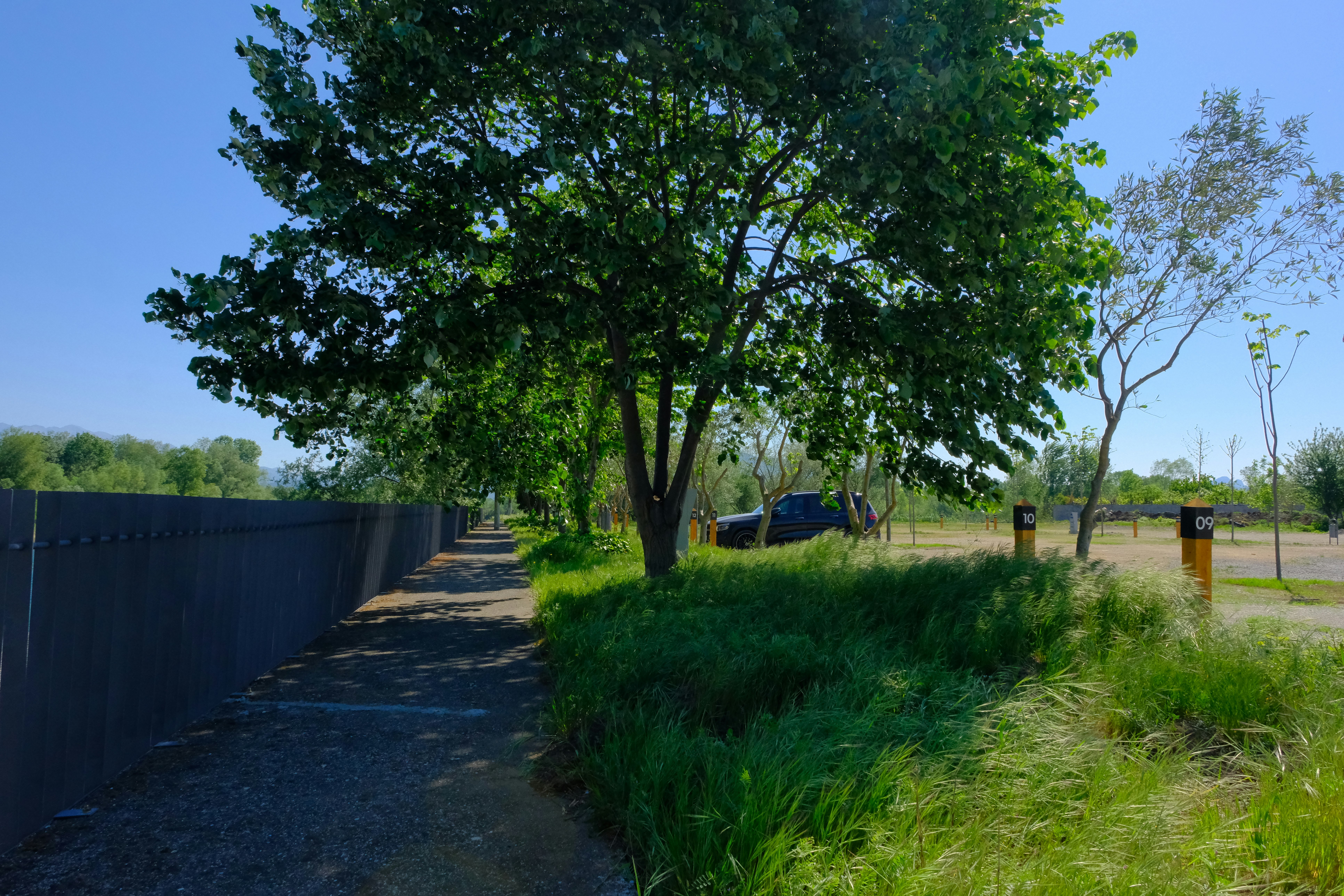 Campingweg entlang eines Zauns, daneben Gras und Büsche, im Hintergrund Bäume und ein Zeltbereich.