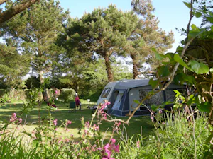 Silver Sands Holiday Park