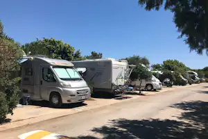 Wohnmobile auf einem Stellplatz im Campingpark, mit Bäumen und Hecken entlang des gepflasterten Wegs.