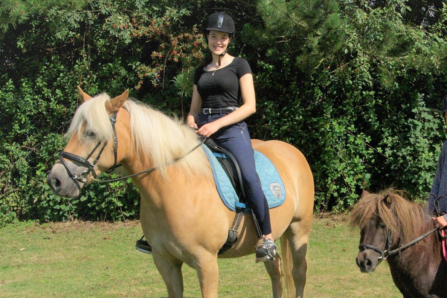 Zwei Personen reiten auf Pferden auf einer grünen Wiese, umgeben von Büschen und Bäumen.