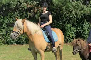 Zwei Personen reiten auf Pferden auf einer grünen Wiese, umgeben von Büschen und Bäumen.