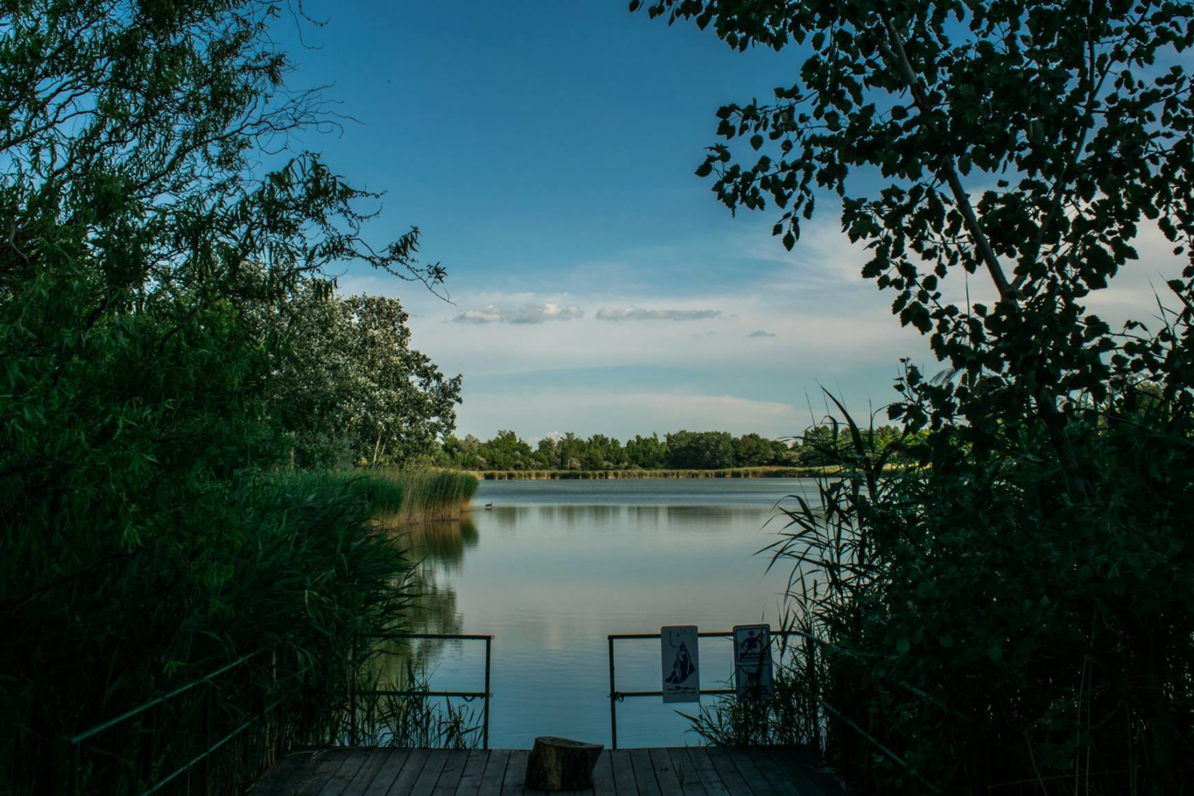 Siócamping - Blick auf das Wasser