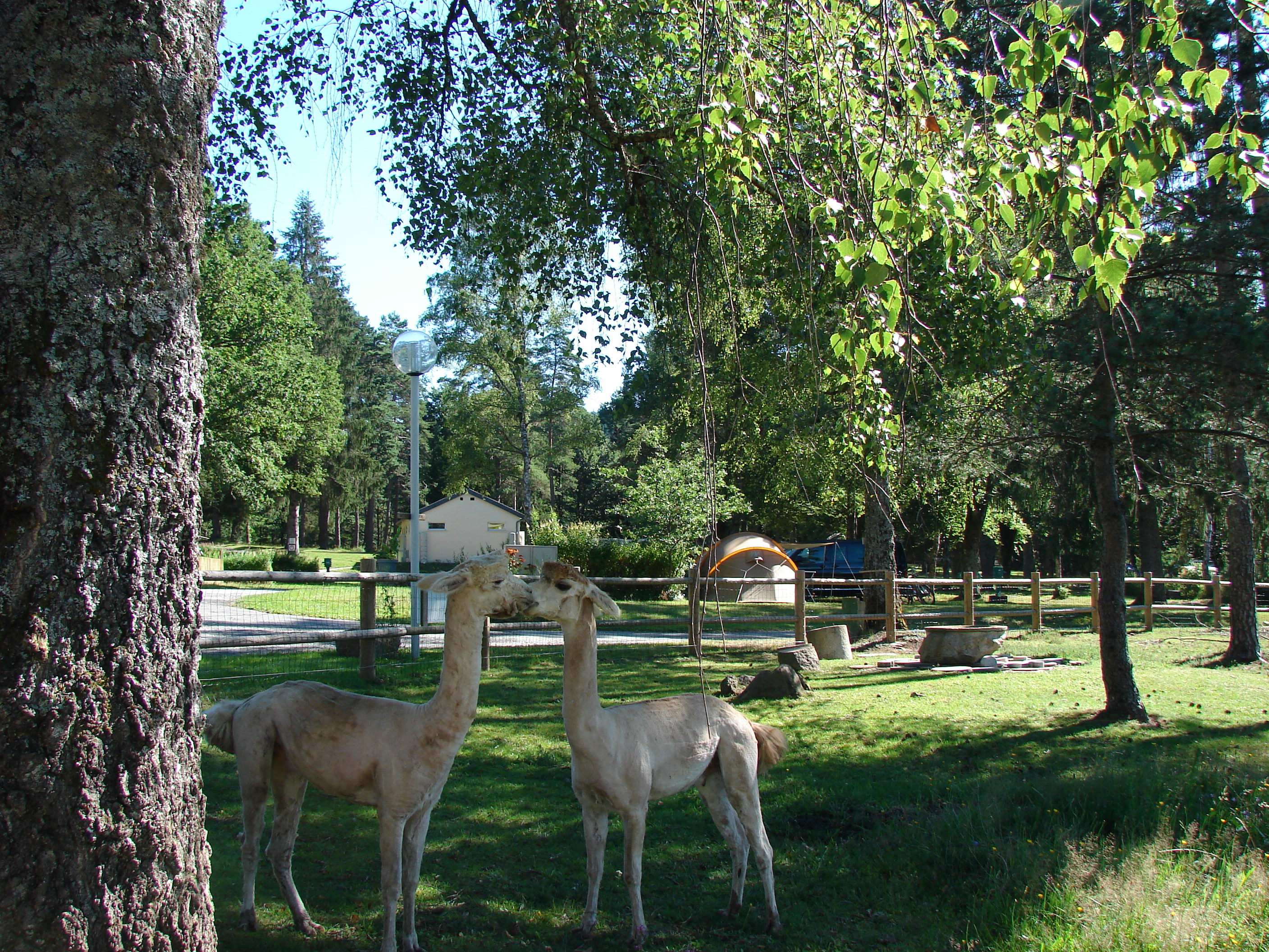 Camping Aux Portes Des Mille Sources