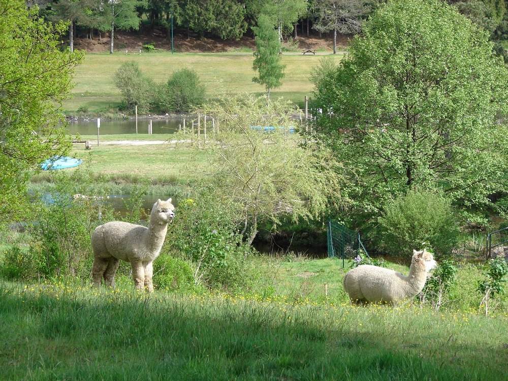 Camping Aux Portes Des Mille Sources