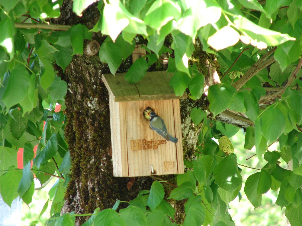 Camping Aux Portes Des Mille Sources