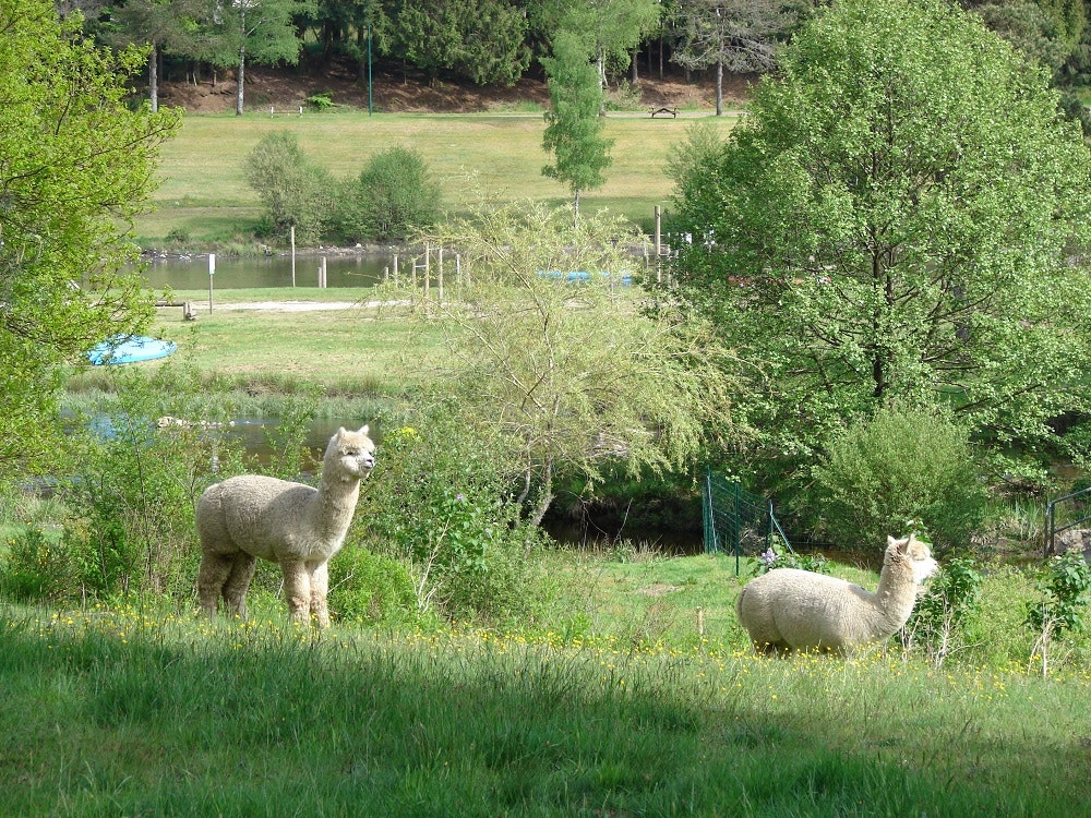 Camping Aux Portes Des Mille Sources